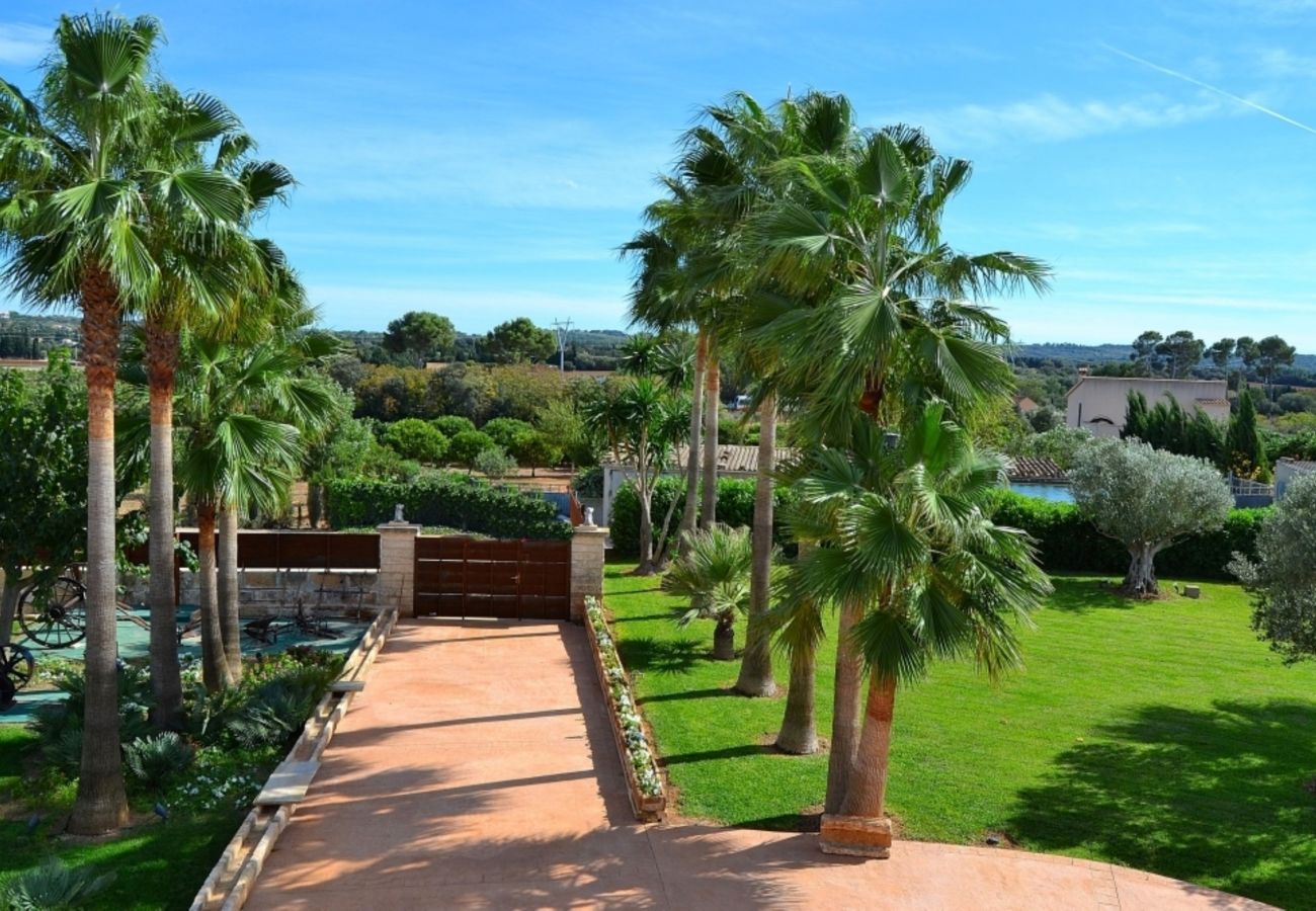  From 100 € per day you can rent your finca in Mallorca