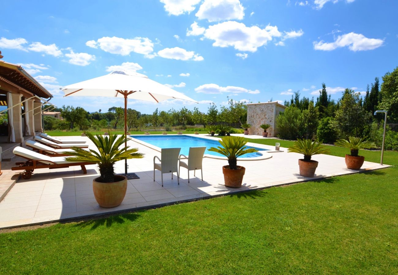 vFrom 100 € per day you can rent your finca in Mallorca