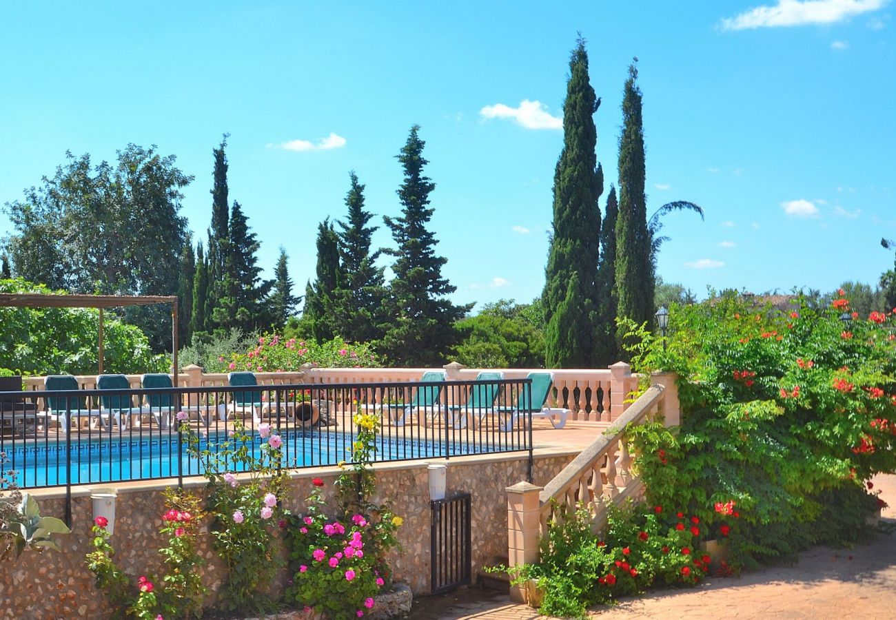 holiday house mallorca rent, holiday home mallorca, from private
