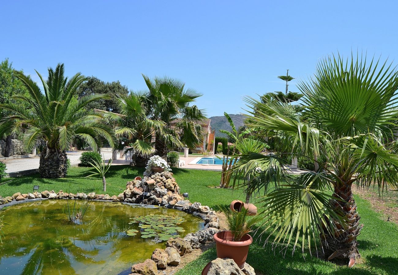 Photo of the pool of the finca in Inca Mallorca