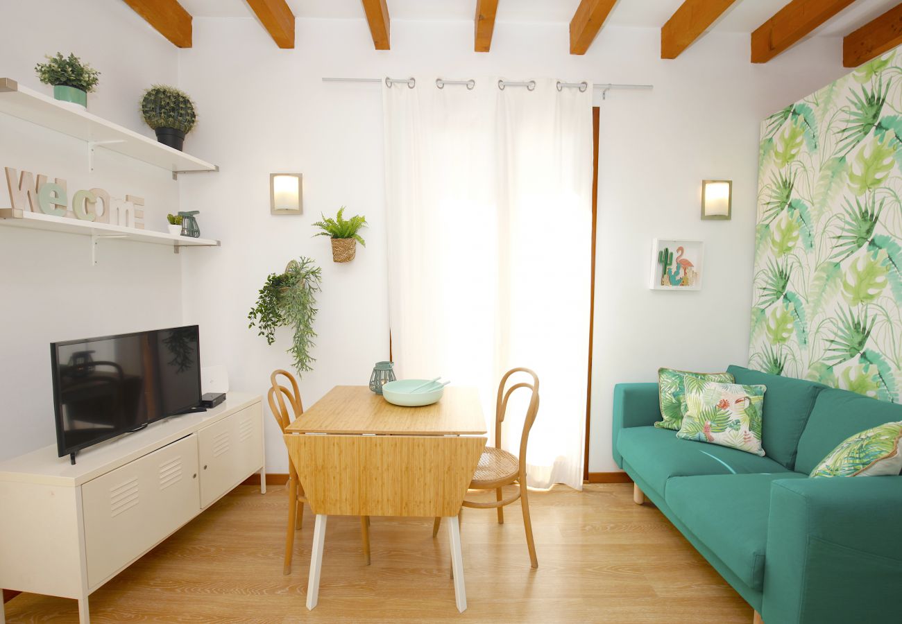 Apartment in Palma de Mallorca - Sant Miquel Homes Albufera
