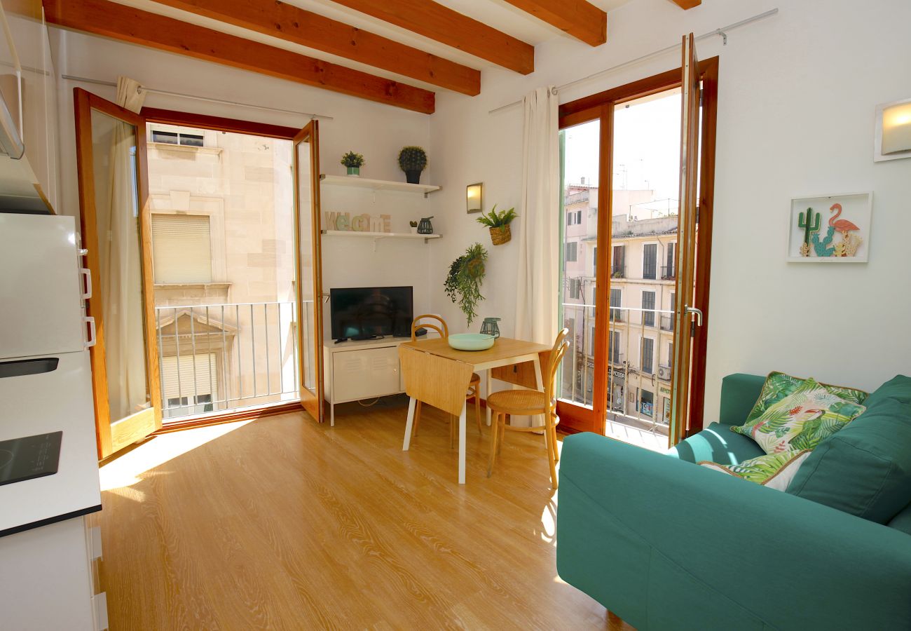 Apartment in Palma de Mallorca - Sant Miquel Homes Sa Calobra