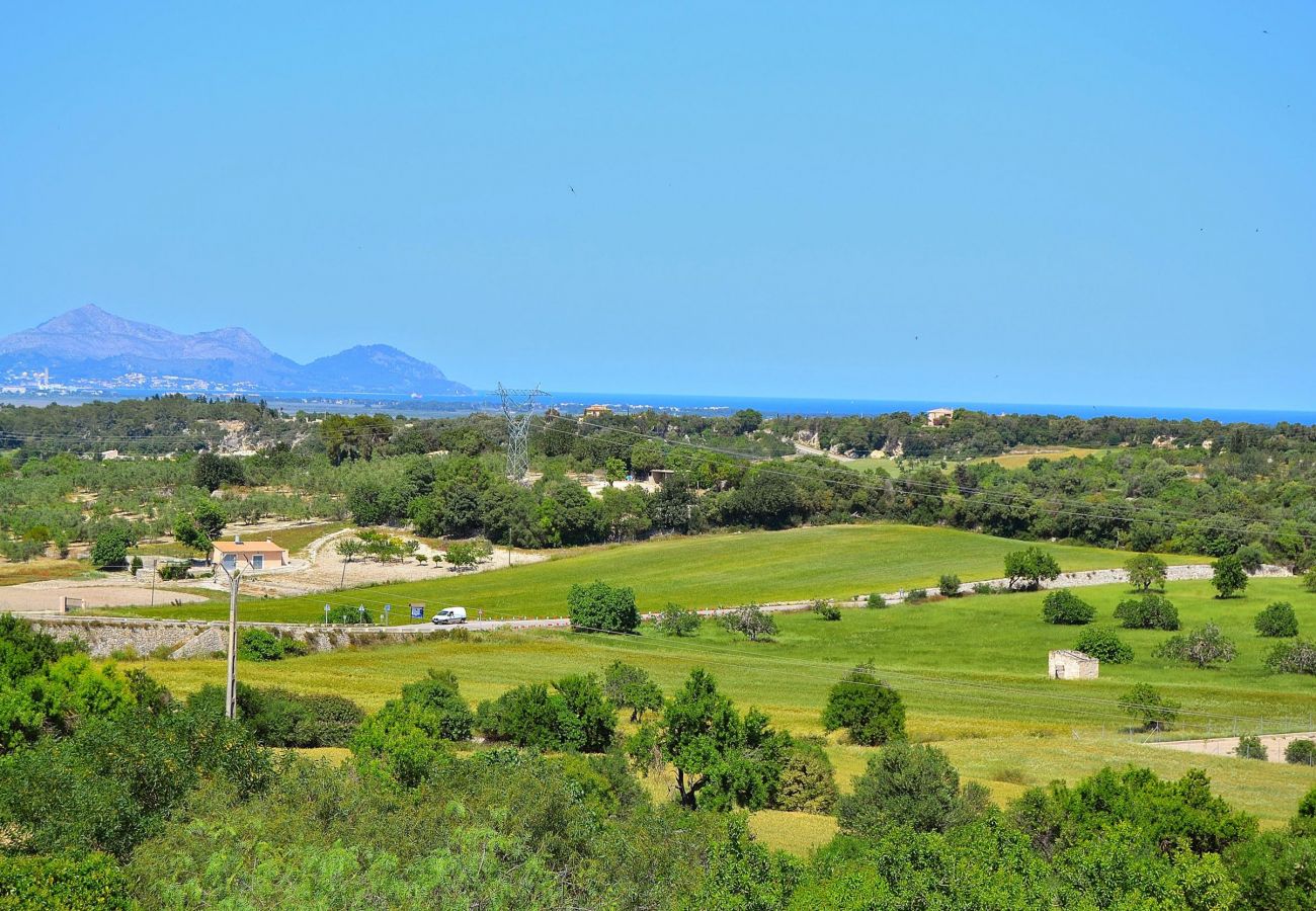 From 100 € per day you can rent your villa in Mallorca