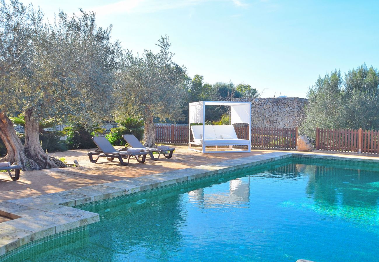 Picture of the swimming pool of the villa in Sineu