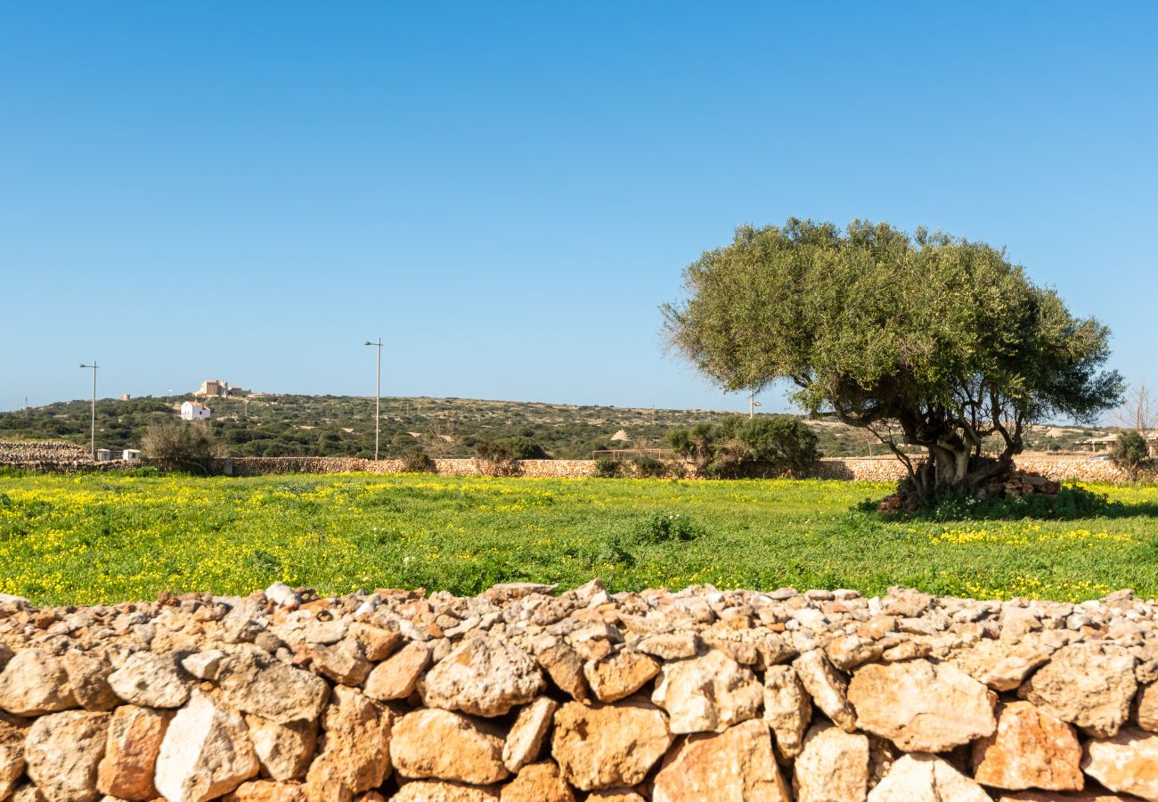 Villa in Ciutadella de Menorca - Menorca Flomertor 1