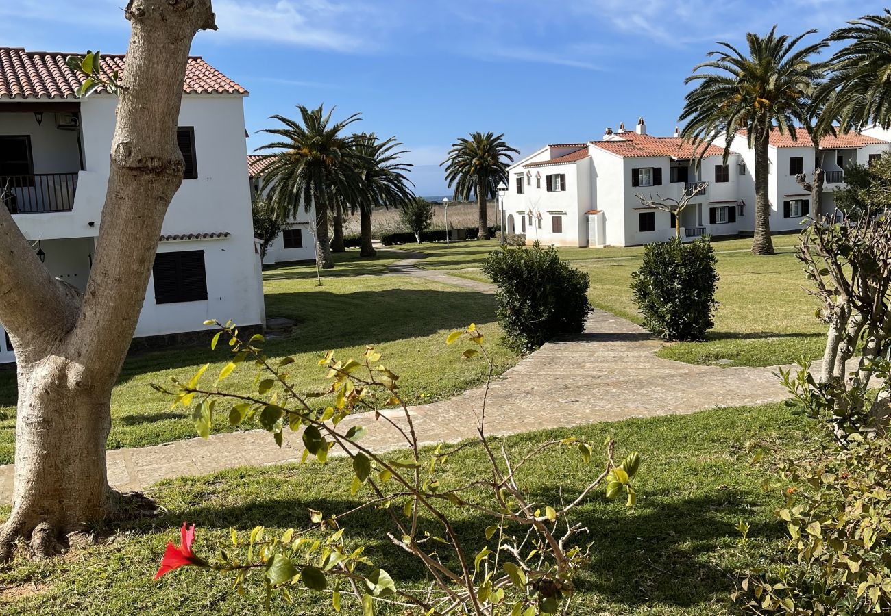Apartment in Son Bou - Apartamento SON BOU, 67